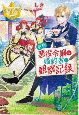 幻想异闻录 天空视频动漫